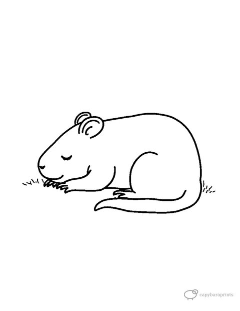 Capybara Sleeping Curled Up — free printable coloring page